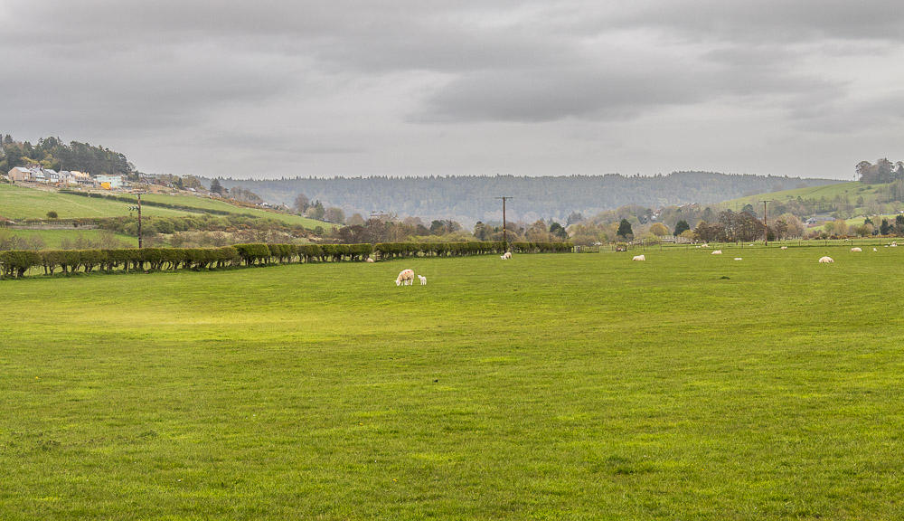 Rothbury Rothbury